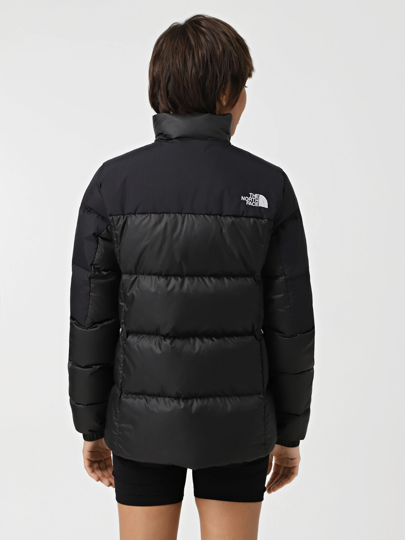 Куртки и дубленки The North Face Diablo Down 2.0 модель NF0A8990PH51 Куртки и дубленки The North Face Diablo Down 2.0 модель NF0A8990PH51 Фото