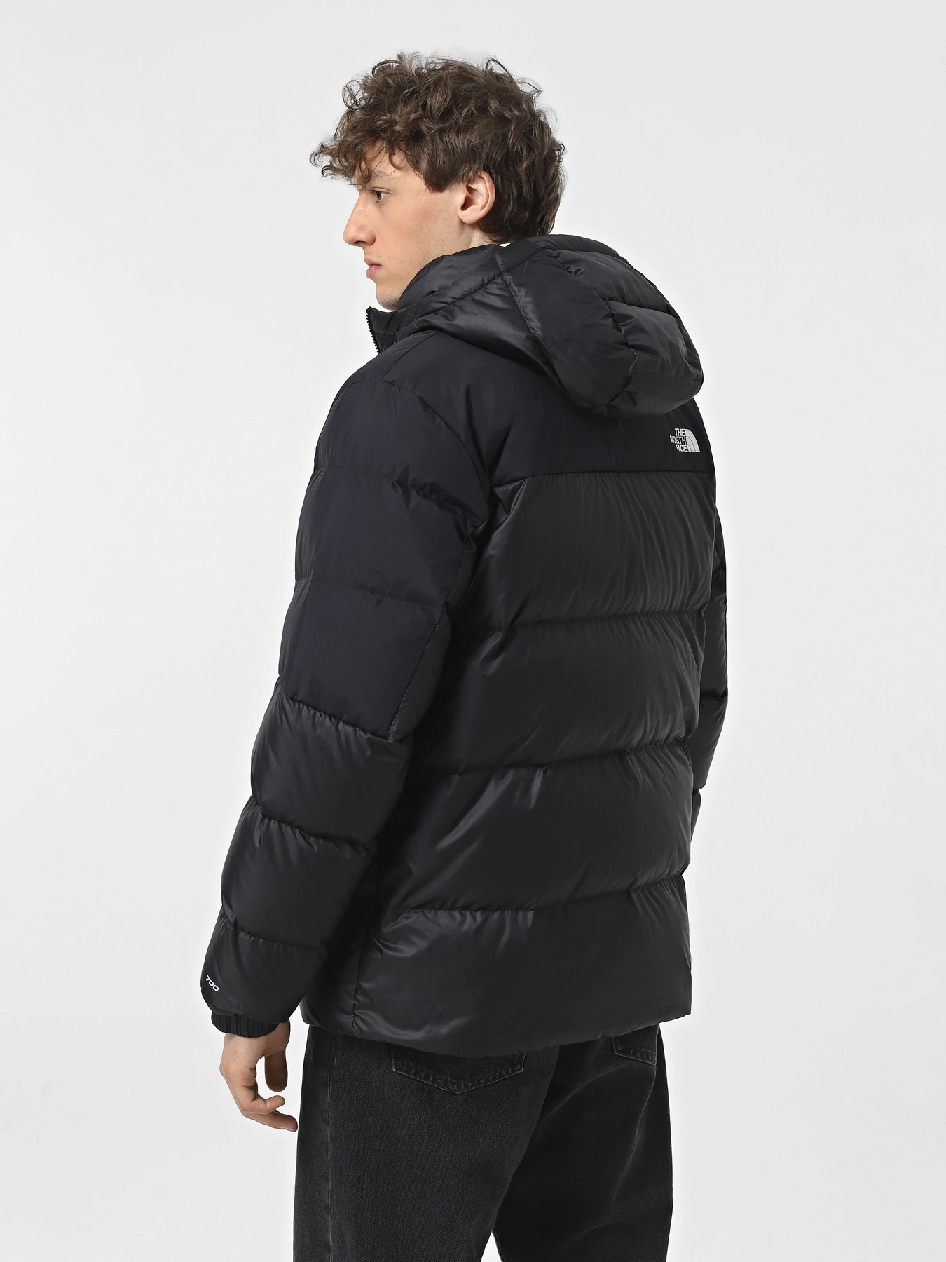 Куртки и дубленки The North Face Diablo Down модель NF0A8992PH51 Фото