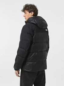 Куртки и дубленки The North Face Diablo Down модель NF0A8992PH51 Фото