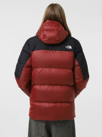 Куртки и дубленки The North Face Diablo Down модель NF0A899290O1 Фото