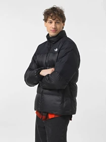 Куртки и дубленки The North Face Diablo Down 2.0 модель NF0A8993PH51 Фото