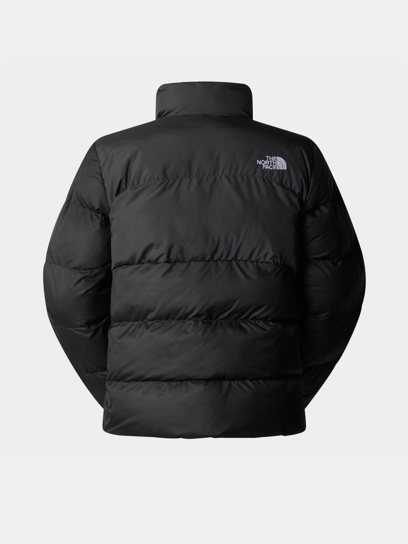Куртки и дубленки The North Face Saikuru модель NF0A89JDKT01 Фото