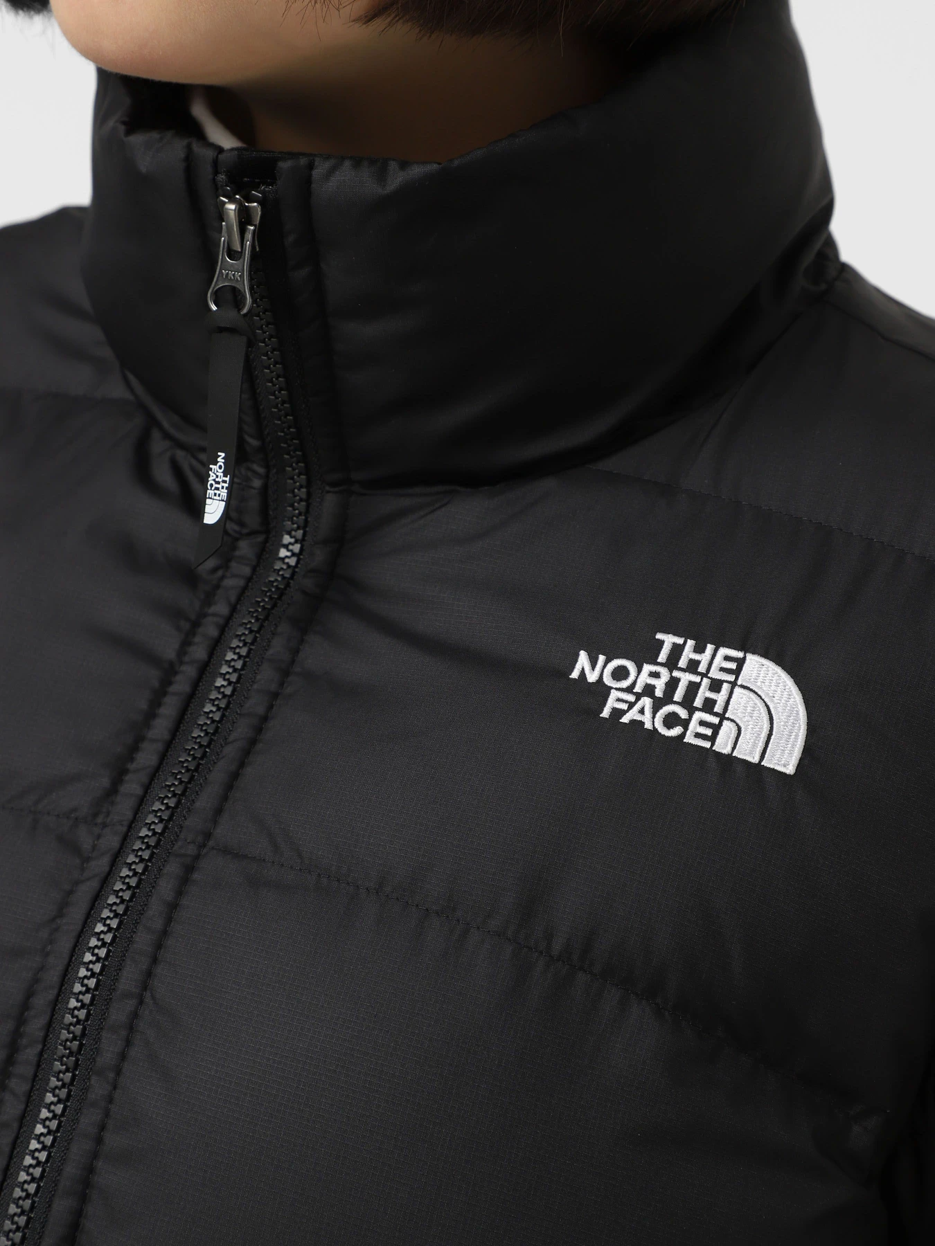 Куртки та дублянки The North Face Saikuru модель NF0A89JEJK31 Фото