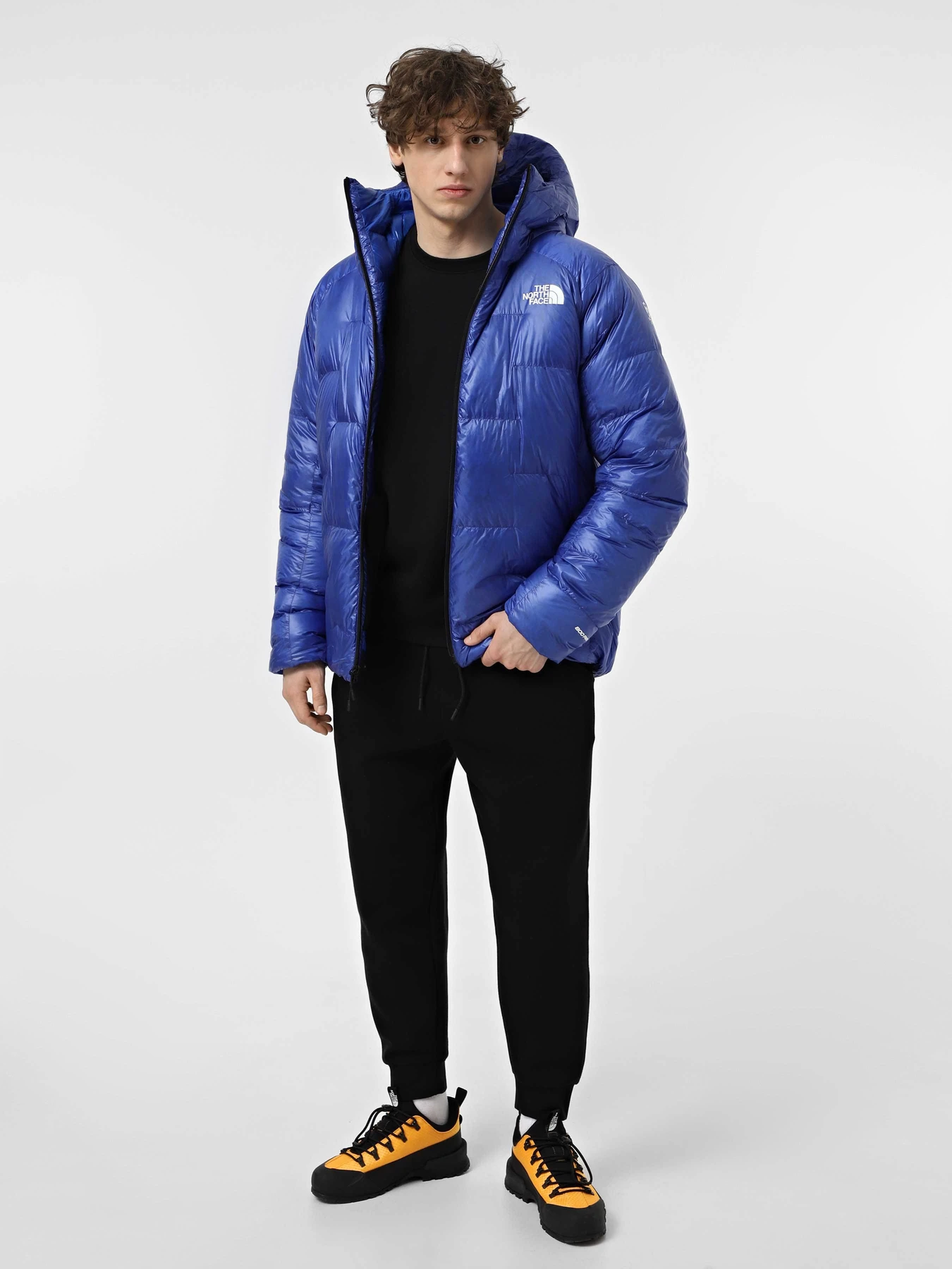 Куртки та дублянки The North Face Summit Pumori модель NF0A8AK5CZ61 Фото