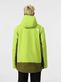 Куртки и дубленки The North Face Freedom Insulated модель NF0A82VU5QI1 Фото