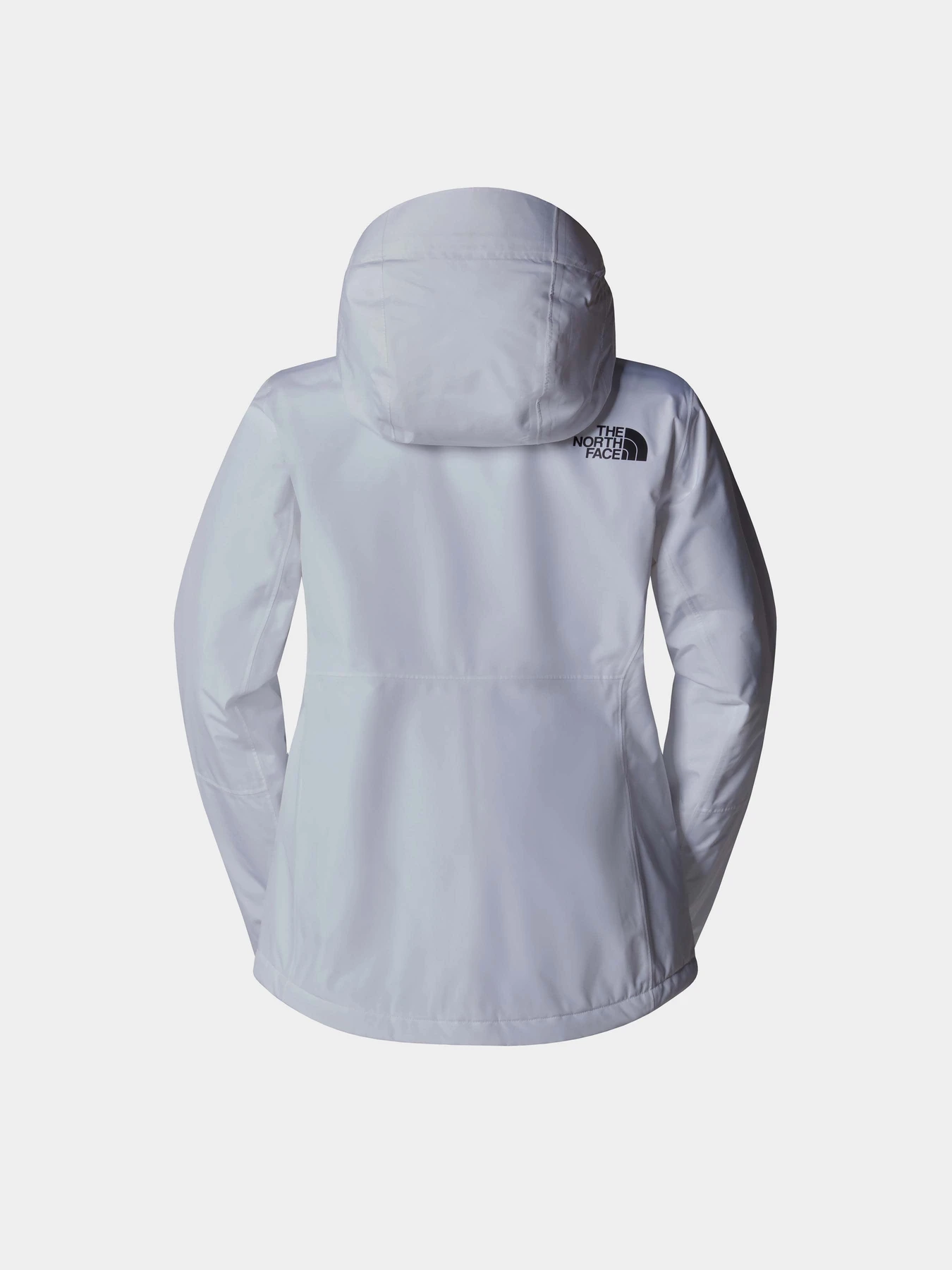 Куртки и дубленки The North Face Descendit модель NF0A87XFFN41 Фото