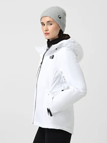 Куртки и дубленки The North Face Descendit модель NF0A87XFFN41 Фото