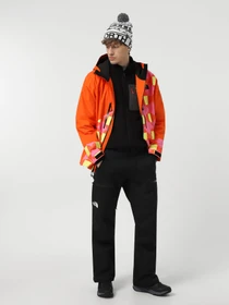 Брюки The North Face Chakal модель NF0A87Y7JK31 Фото