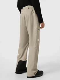 Брюки The North Face Chakal модель NF0A87Y71I41 Фото