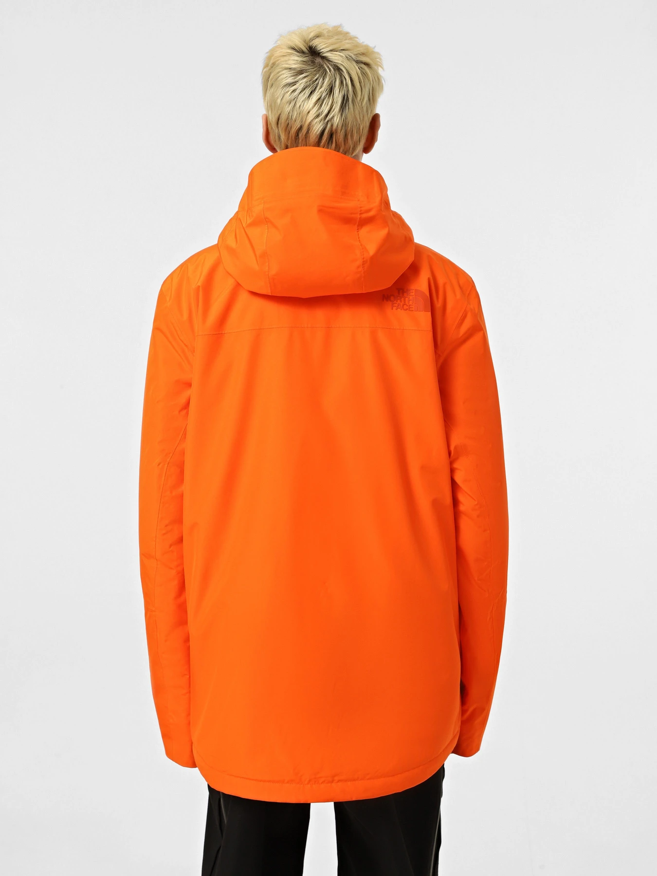 Куртки та дублянки The North Face Descendit модель NF0A87Y91OP1 Фото