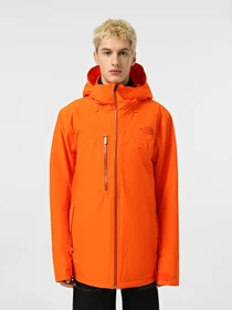 Куртки та дублянки The North Face Descendit модель NF0A87Y91OP1 Фото