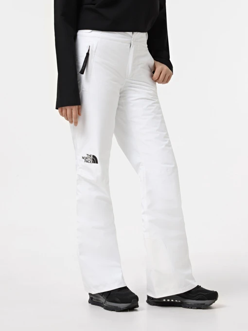 Брюки The North Face Descendit модель NF0A87ZZFN41 Фото
