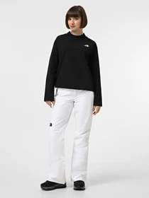 Брюки The North Face Descendit модель NF0A87ZZFN41 Фото