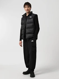 Штани The North Face Himalayan Track модель NF0A88XXJK31 Фото