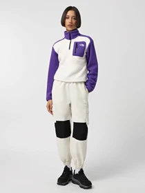 Брюки The North Face Himalayan Track модель NF0A88Z6ROU1 Фото