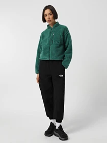 Штани The North Face Himalayan Track модель NF0A88Z6JK31 Фото