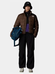 Брюки The North Face Woven модель NF0A89H1JK31 Фото