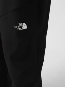 Брюки The North Face Diablo модель NF0A7X6D4H01 Фото