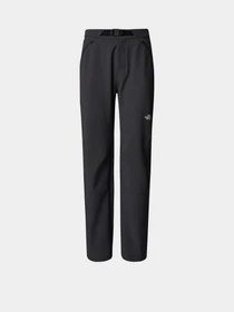Брюки The North Face Diablo Reg модель NF0A7Z894EN1 Фото