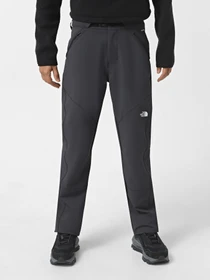 Брюки The North Face Diablo Reg модель NF0A7Z894EN1 Фото