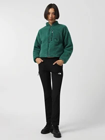 Брюки The North Face Speedlight модель NF0A7Z8A4H01 Фото