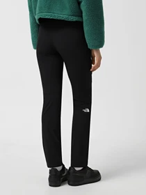 Брюки The North Face Speedlight модель NF0A7Z8A4H01 Фото