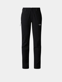 Брюки The North Face Speedlight модель NF0A7Z8A4H01 Фото