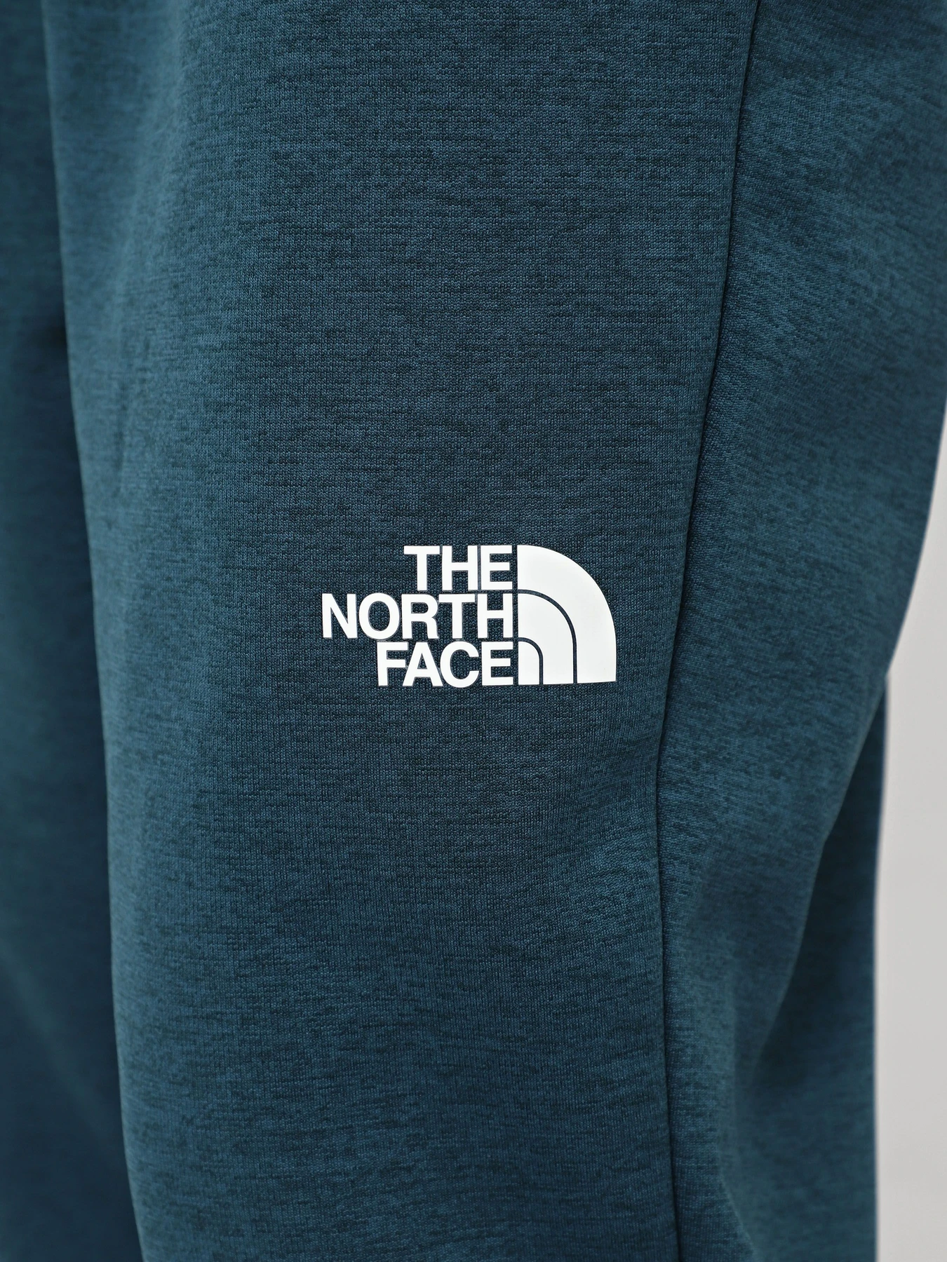 Брюки The North Face Reaxion модель NF0A7Z9P2LO1 Фото