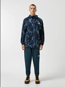 Брюки The North Face Reaxion модель NF0A7Z9P2LO1 Фото