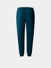 Брюки The North Face Reaxion модель NF0A7Z9P2LO1 Фото