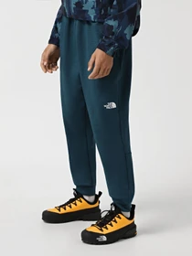 Брюки The North Face Reaxion модель NF0A7Z9P2LO1 Фото