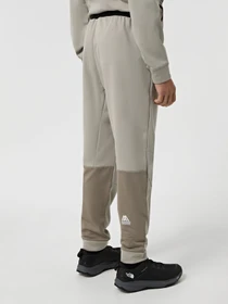 Брюки The North Face Mountain Athletics Fleece модель NF0A893S5II1 Фото
