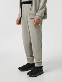 Штани The North Face Mountain Athletics Fleece модель NF0A893S5II1 Фото