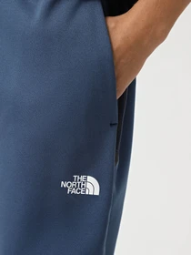 Брюки The North Face Vectiv Enduris 3 модель NF0A893S9261 Фото