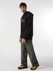 Худи и свитшоты The North Face Gps Hoodie Kyiv модель NF0A8DU9JK31 Фото
