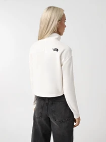 Худи и свитшоты The North Face 100 Glacier Cropped ¼ Zip модель NF0A855N4HP1 Фото