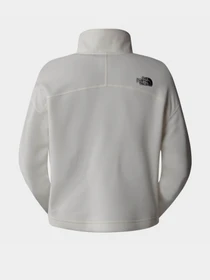 Худи и свитшоты The North Face 100 Glacier Cropped ¼ Zip модель NF0A855N4HP1 Фото