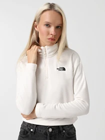 Худи и свитшоты The North Face 100 Glacier Cropped ¼ Zip модель NF0A855N4HP1 Фото
