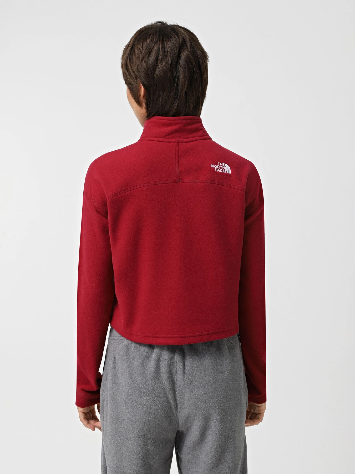 Худи и свитшоты The North Face 100 Glacier Cropped 1/4 Zip Fleece модель NF0A855N1IX1 Фото