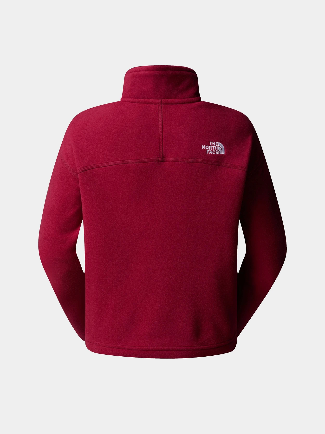 Худи и свитшоты The North Face 100 Glacier Cropped 1/4 Zip Fleece модель NF0A855N1IX1 Фото