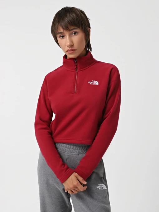 Худи и свитшоты The North Face 100 Glacier Cropped 1/4 Zip Fleece модель NF0A855N1IX1 Фото