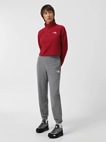 Худи и свитшоты The North Face 100 Glacier Cropped 1/4 Zip Fleece модель NF0A855N1IX1 Фото