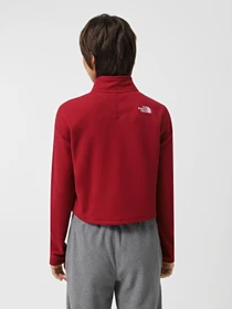 Худи и свитшоты The North Face 100 Glacier Cropped 1/4 Zip Fleece модель NF0A855N1IX1 Фото