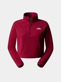 Худи и свитшоты The North Face 100 Glacier Cropped 1/4 Zip Fleece модель NF0A855N1IX1 Фото