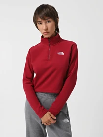 Худи и свитшоты The North Face 100 Glacier Cropped 1/4 Zip Fleece модель NF0A855N1IX1 Фото