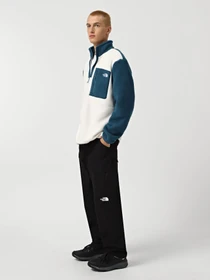 Худі та світшоти The North Face Yumiori 1/4 Zip Fleece модель NF0A883S9IH1 Фото