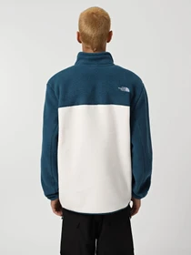 Худі та світшоти The North Face Yumiori 1/4 Zip Fleece модель NF0A883S9IH1 Фото