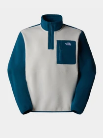 Худі та світшоти The North Face Yumiori 1/4 Zip Fleece модель NF0A883S9IH1 Фото