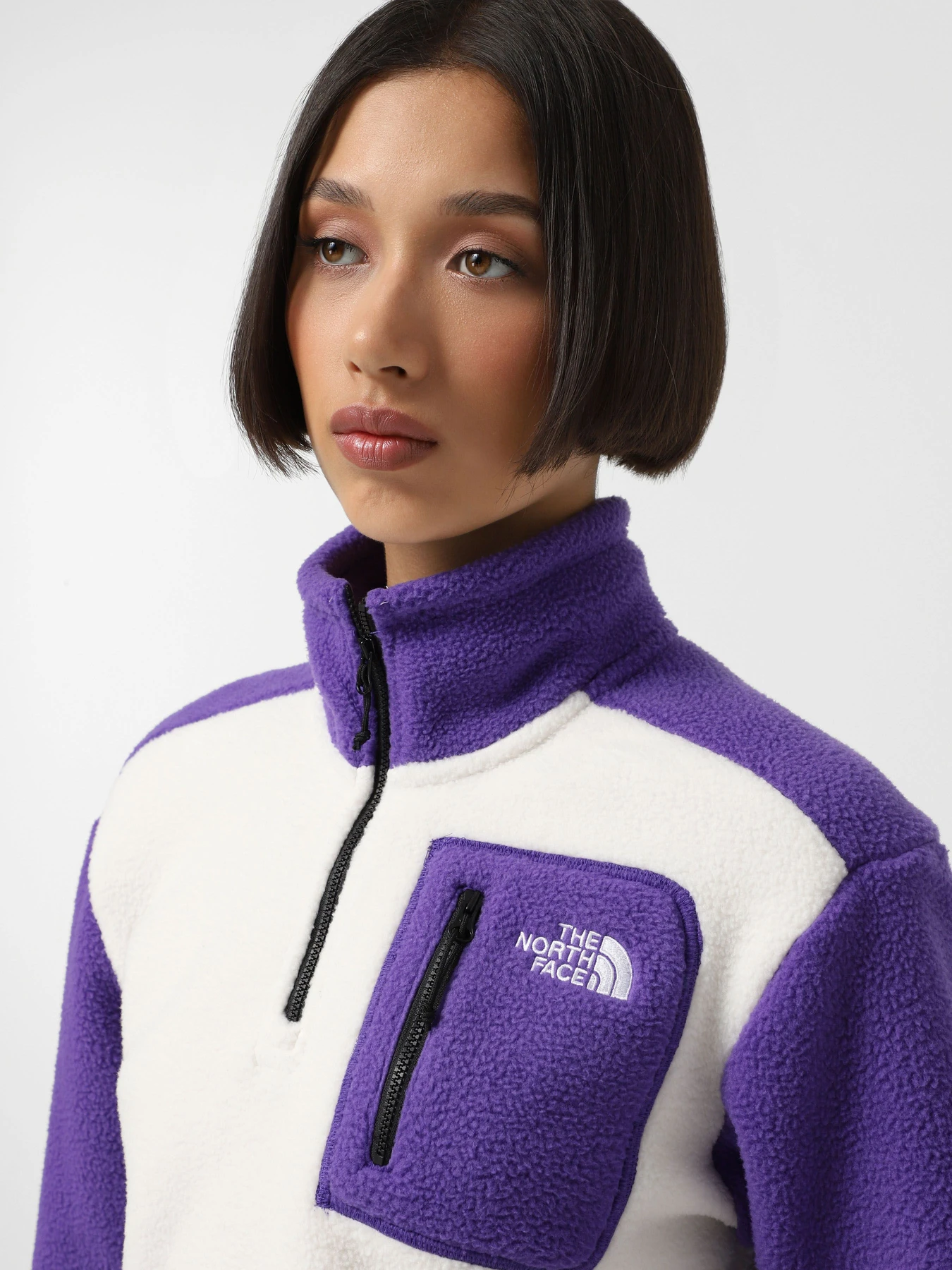 Худи и свитшоты The North Face Yumiori 1/4 Zip Fleece модель NF0A88439IA1 Худи и свитшоты The North Face Yumiori 1/4 Zip Fleece модель NF0A88439IA1 Фото