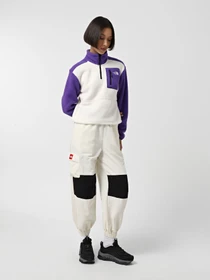 Худи и свитшоты The North Face Yumiori 1/4 Zip Fleece модель NF0A88439IA1 Фото